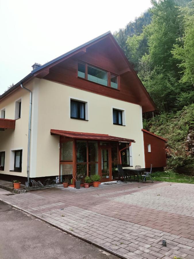 Seeblick Krippenstein Obertraun Exteriér fotografie